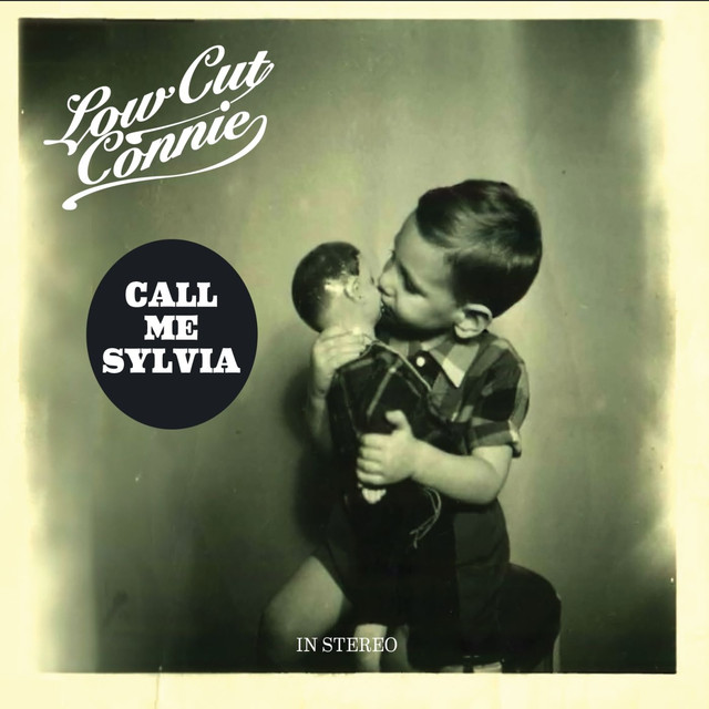 Call Me Sylvia cover