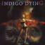 Indigo Dying Albumcover