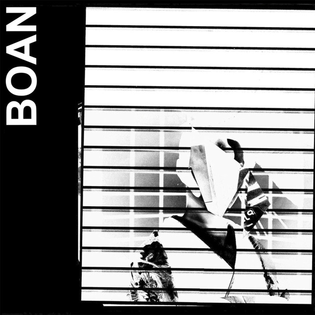 BOAN Photo