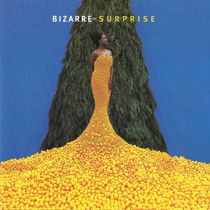 Surprise cover