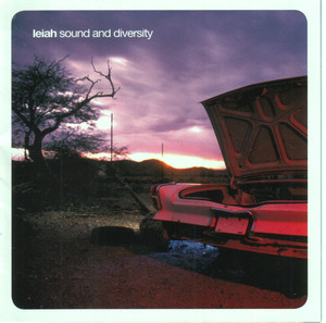 Sound and Diversity cover