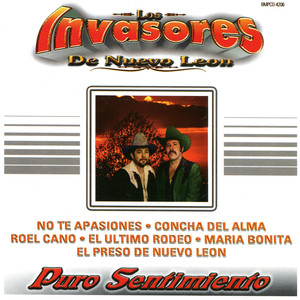 Puro Sentimiento album