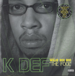The Fool album