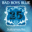 25 (Remastered) cover