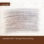 The Age of Wire and String Albumcover