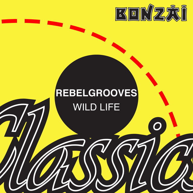 Rebelgrooves Photo
