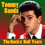 The Rock N Roll Years cover