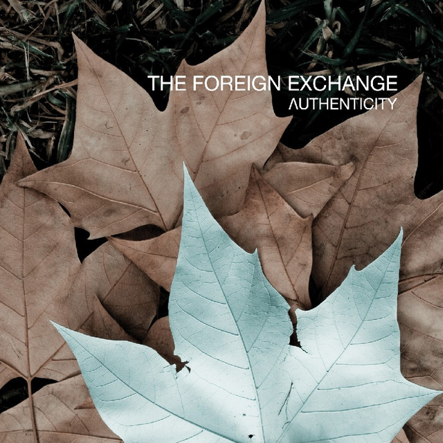 Authenticity cover