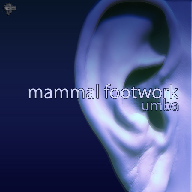 Mammal Footwork Photo