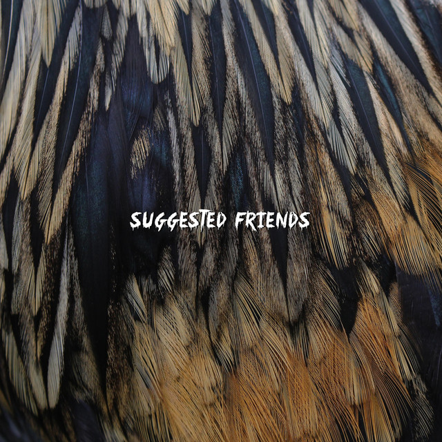 Suggested Friends cover