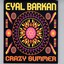 Crazy Summer Albumcover