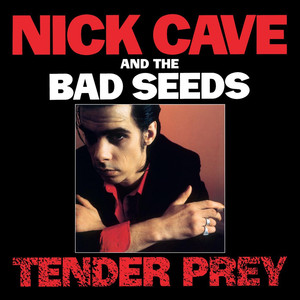 Tender Prey (2010 Remastered Version) album
