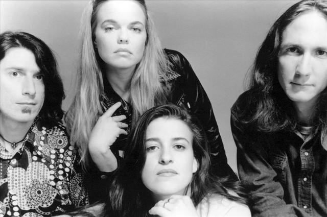 Seven Day Diary banner