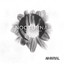 Nocturnal Solar Sessions cover