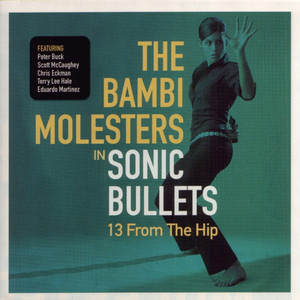Sonic Bullets: 13 From the Hip cover