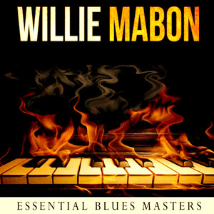 Essential Blues Masters album