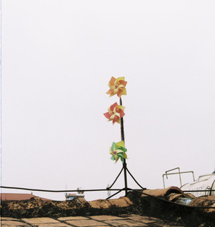 Những Đứa Trẻ Photo