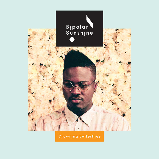 Drowning Butterflies Ep cover
