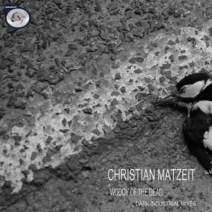 Christian Matzeit