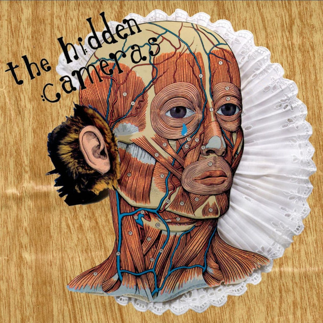 Learning The Lie 7
