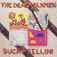 Bucky Fellini cover