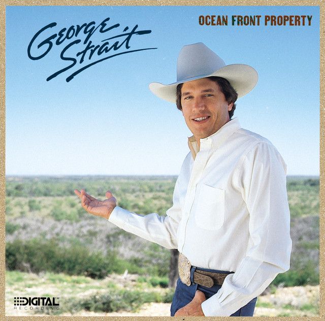 Ocean Front Property cover