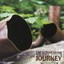 Journey Albumcover