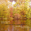 French Violin Sonatas Albumcover