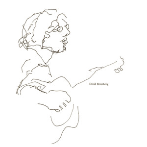 David Bromberg album