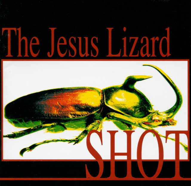 Shot cover