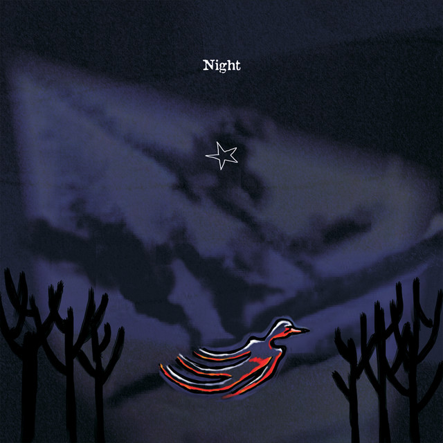 Night cover