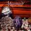 Millennium cover