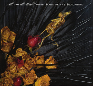 Song of the Blackbird album