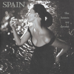 She Haunts My Dreams album