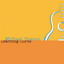 Learning Curve Albumcover