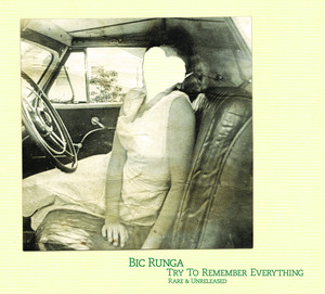 Try to Remember Everything cover