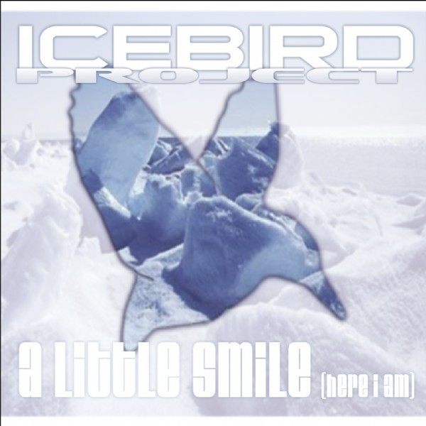 Icebird Project Photo