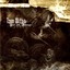 Allied With Bitterness Albumcover