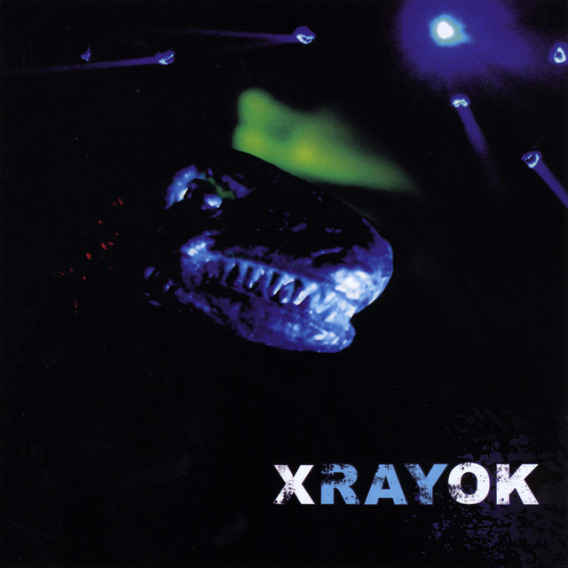 xrayok Photo