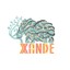 Xande Albumcover