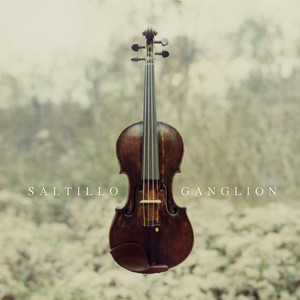 Ganglion cover