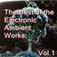 The Best of the Electronic Ambient Works: Vol.1 Albumcover