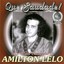 Que Saudade ! As Mais Saudosas De Amilton Lelo Albumcover