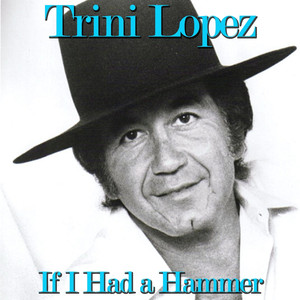 If I Had a Hammer album