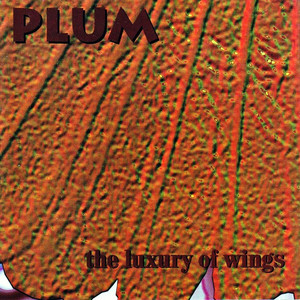 The Luxury of Wings Albumcover