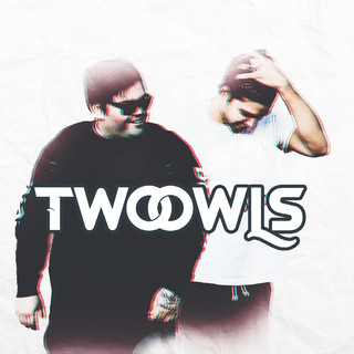 TWO OWLS Photo