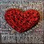 Love Soldier Albumcover