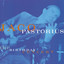 The Birthday Concert cover