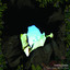 The Butterfly Ate the Pearl Albumcover