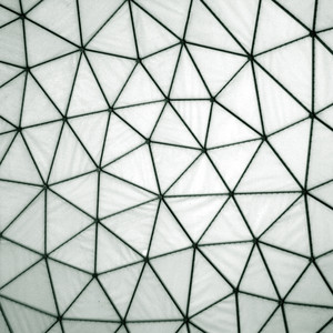 Orphan Train Project